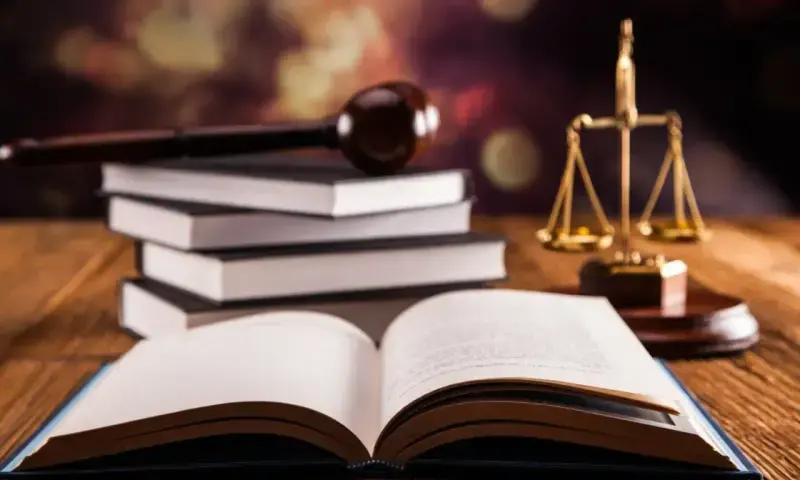 Consulenza legale: pareri e consigli legali online